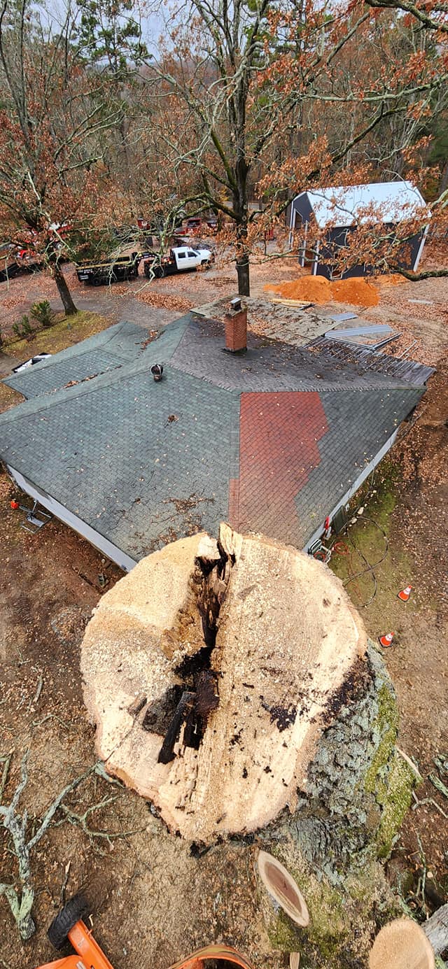 Elite Tree Service crew and equipment in Arkansas